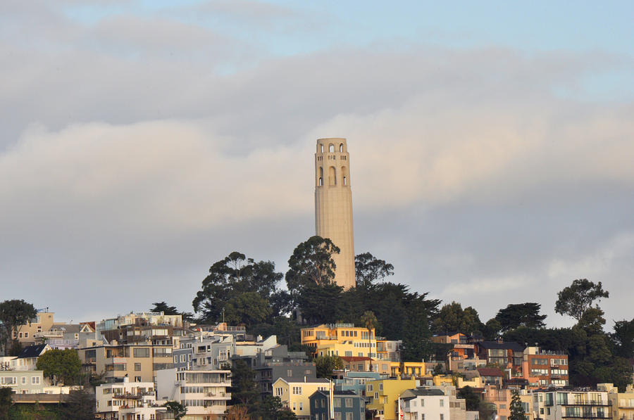 Coit Tower San Francisco Photograph by Diane Lent