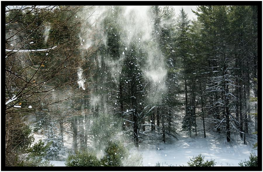 Winter Photograph - Cold Blowing Snow by Sherman Perry