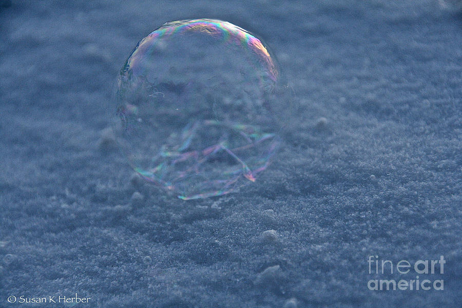Cold Bubble Photograph by Susan Herber
