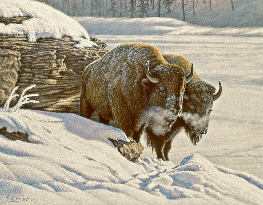 Wildlife Painting - Cold day at Soda Butte by Paul Krapf