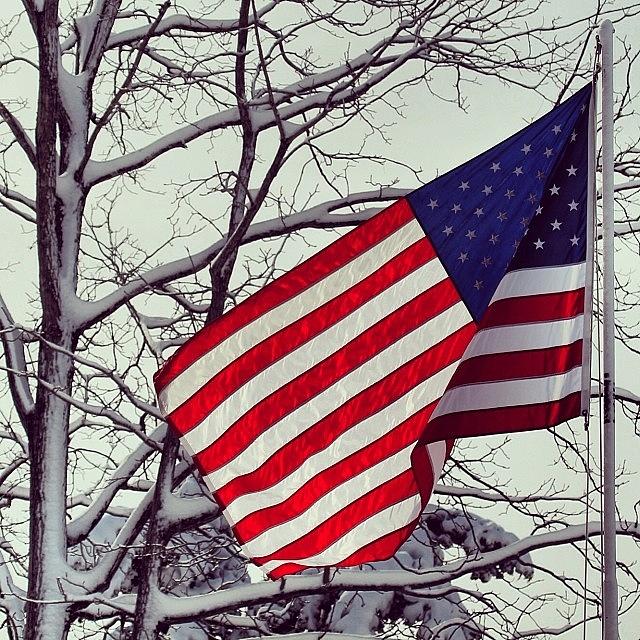 Winter Photograph - Cold Day On Long Island #flag by Lisa Thomas