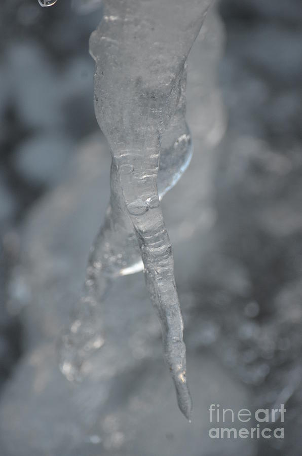 Cold Finger Photograph by Maria Urso