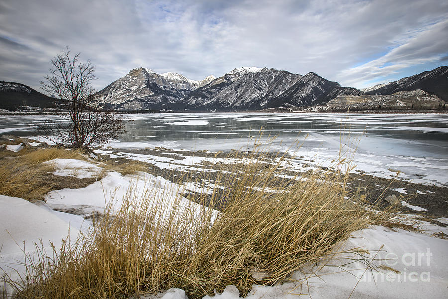 Banff National Park Photograph - Cold Landscapes by Evelina Kremsdorf