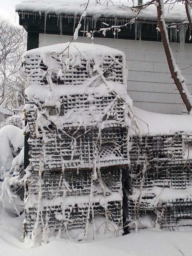 Cold Lobster Trap Photograph by Robert Nickologianis