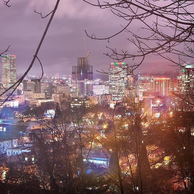 Portland Photograph - Cold Morning In The Rose City by Mike Warner