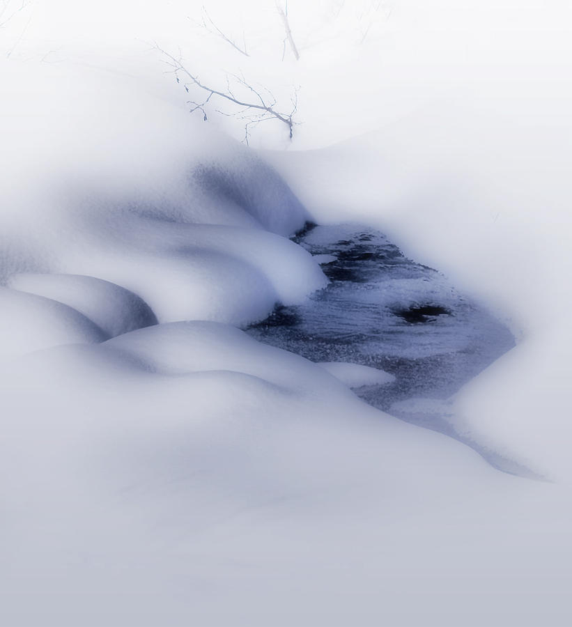 Cold of Winter Photograph by Ellen Heaverlo
