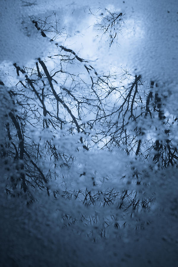 Cold reflection - abstract blues Photograph by Gary Heller