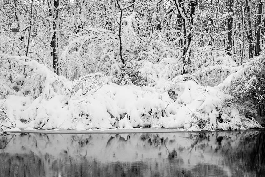 Cold Reflection Photograph by Bryan Bzdula