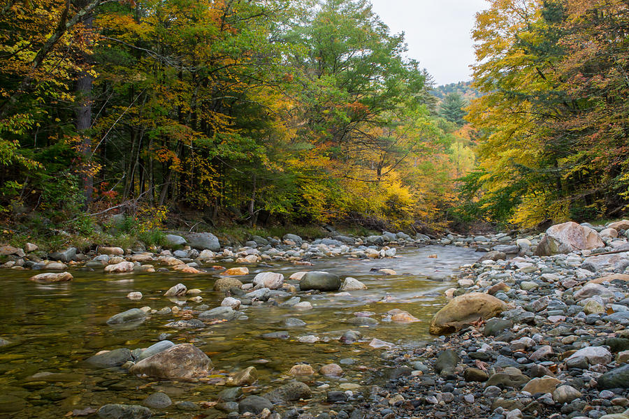 Fall Photograph - Cold River at Charlemont - Massachusetts by Jatin Thakkar