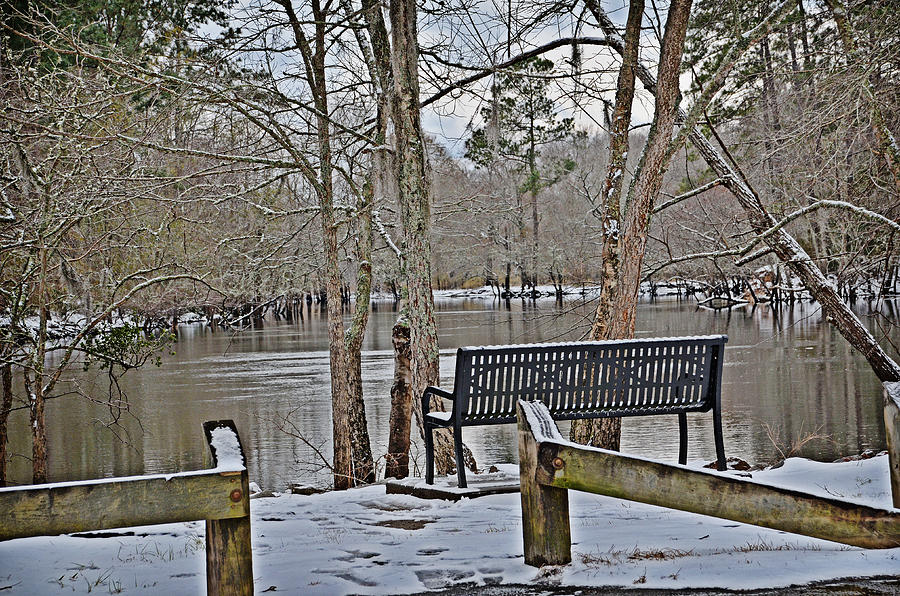 Cold Seat by the River Photograph by Linda Brown