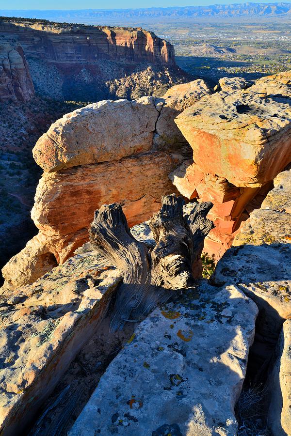 Cold Shivers Photograph by Ray Mathis Fine Art America