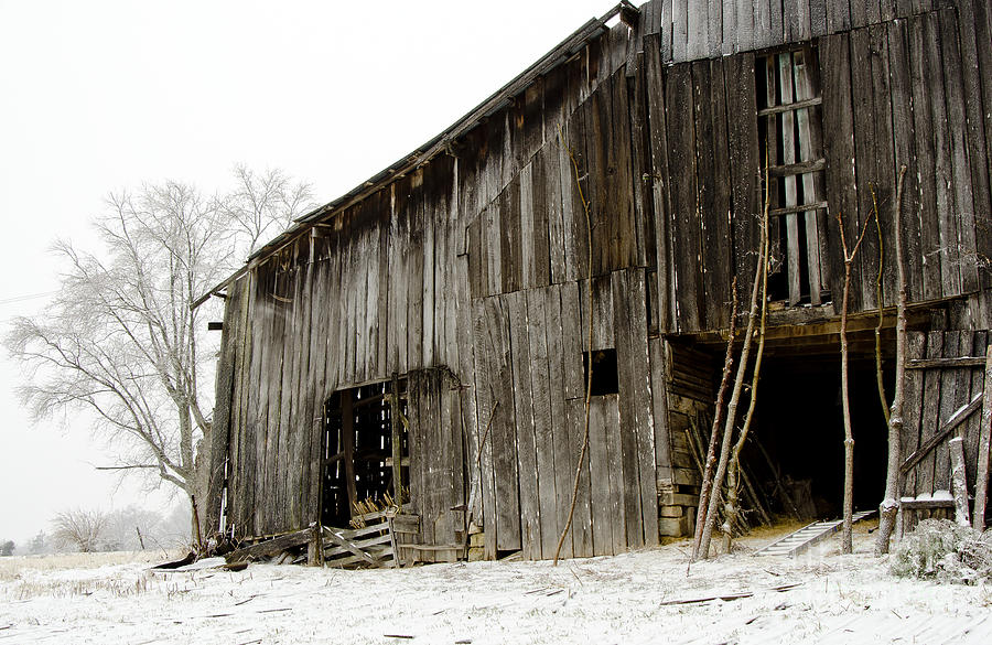 Cold Winter At The Barn Photograph