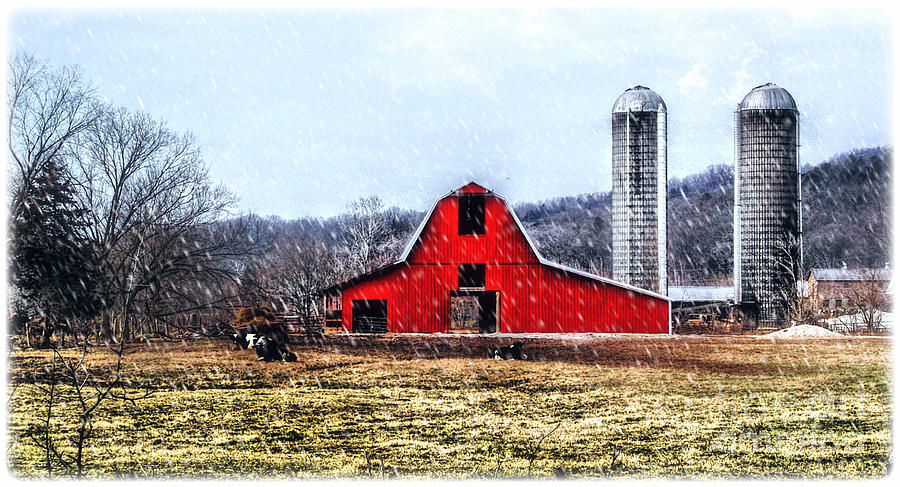 Christmas Photograph - Cold Winter Day at The Farm by Peggy Franz