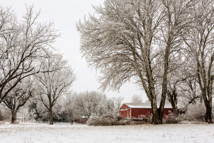 Cold Winter Day On The Farm Photograph by Carol Mellema - Fine Art America