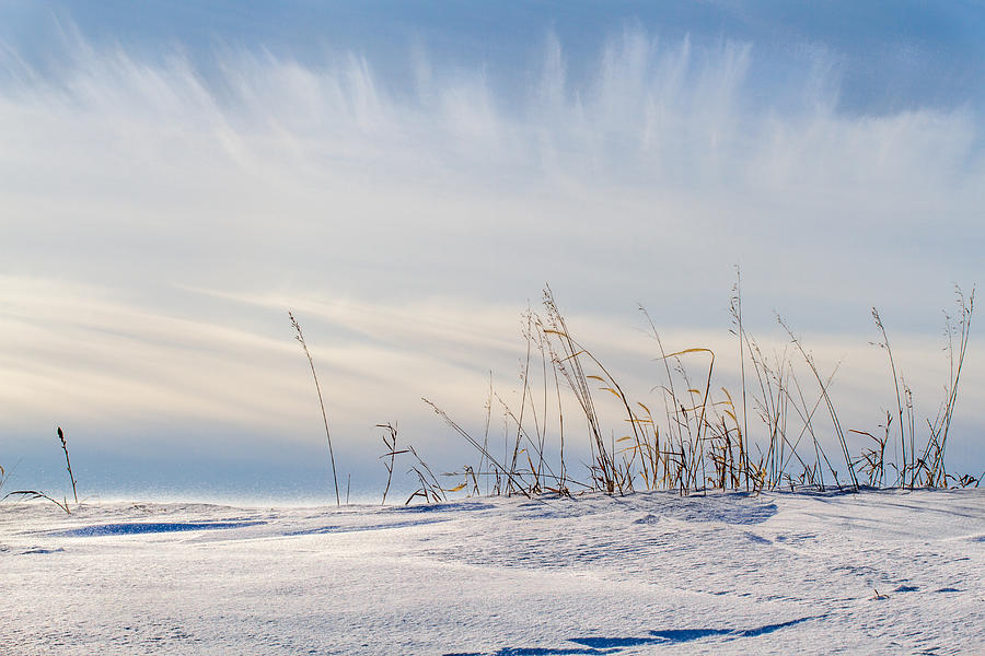 Cold Winter Day Photograph by Toni Thomas - Fine Art America