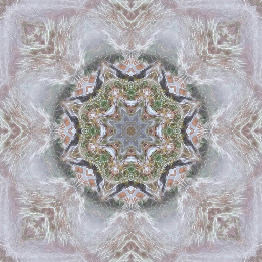 Cold Winter Mandala Digital Art by Beth Sawickie