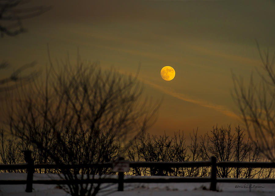 Cold Winter Moon Rise Photograph by Ed Peterson