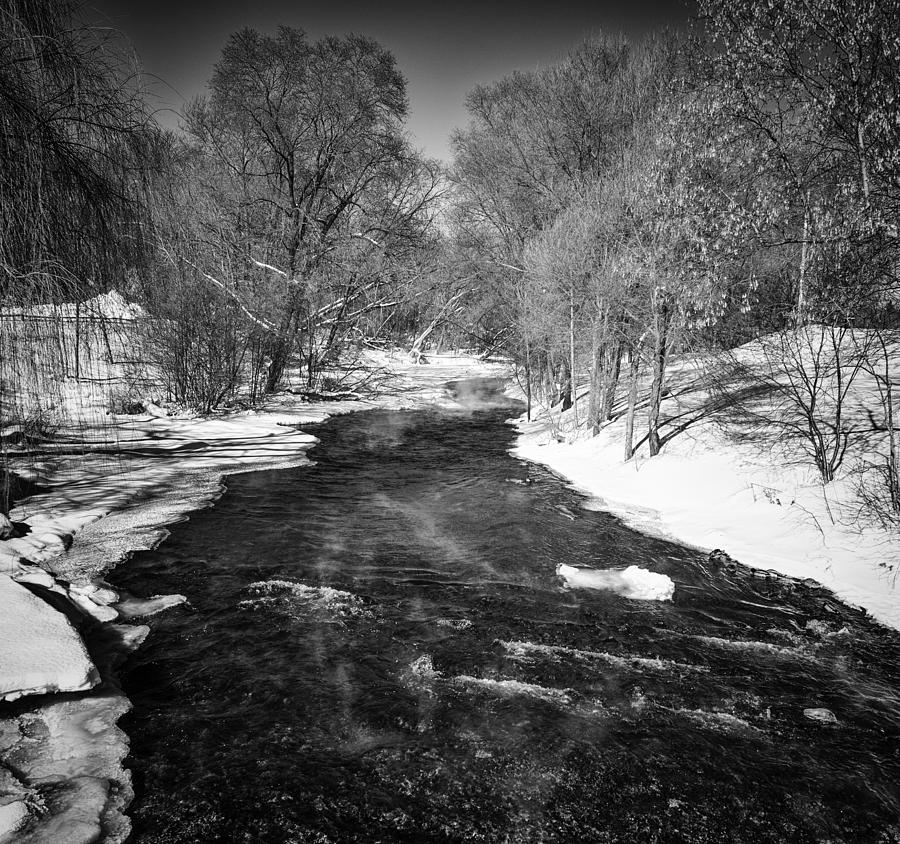 Winter Photograph - Cold Winter by Thomas Young