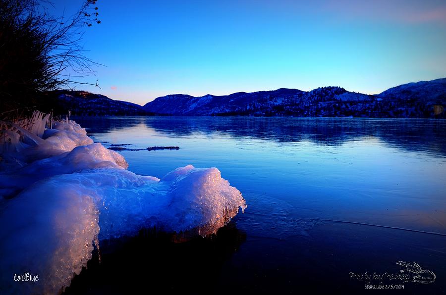 ColdBlue Photograph by Guy Hoffman