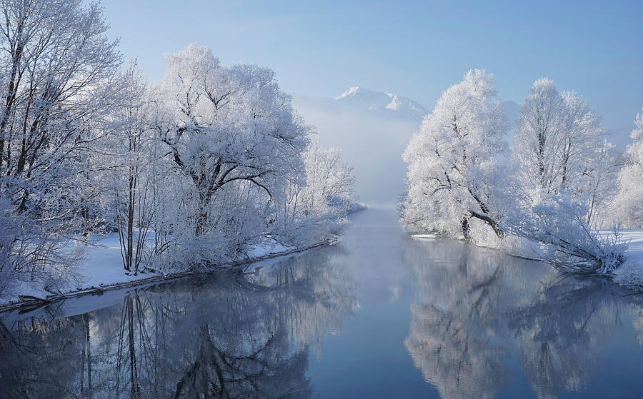 Winter Photograph - Coldest Morning by Norbert Maier