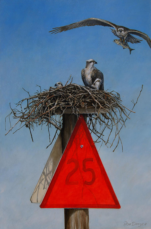 Osprey Painting - Collaborative Effort by Dreyer Wildlife Print Collections 