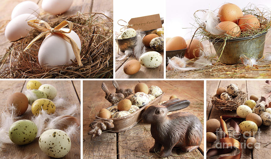 Collage of assorted brown eggs images for easter Photograph by Sandra Cunningham