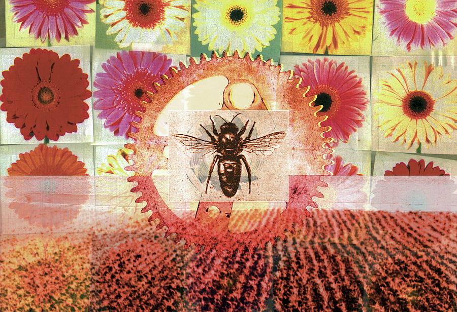 Collage Of Flowers, Bee, Cog And Field Photograph by Ikon Ikon Images