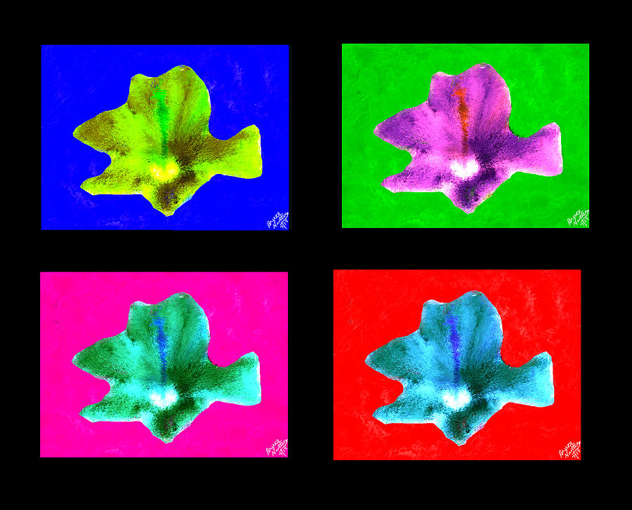 Collage of Inverted Flowers Painting by Bruce Nutting