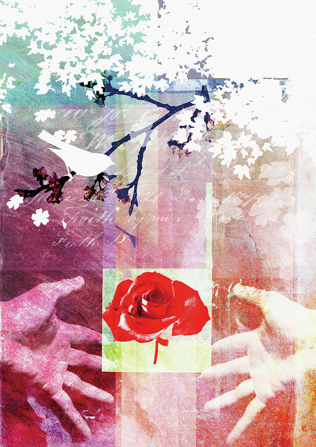 Collage Of Rose, Bird, Hands And Tree Photograph by Ikon Ikon Images