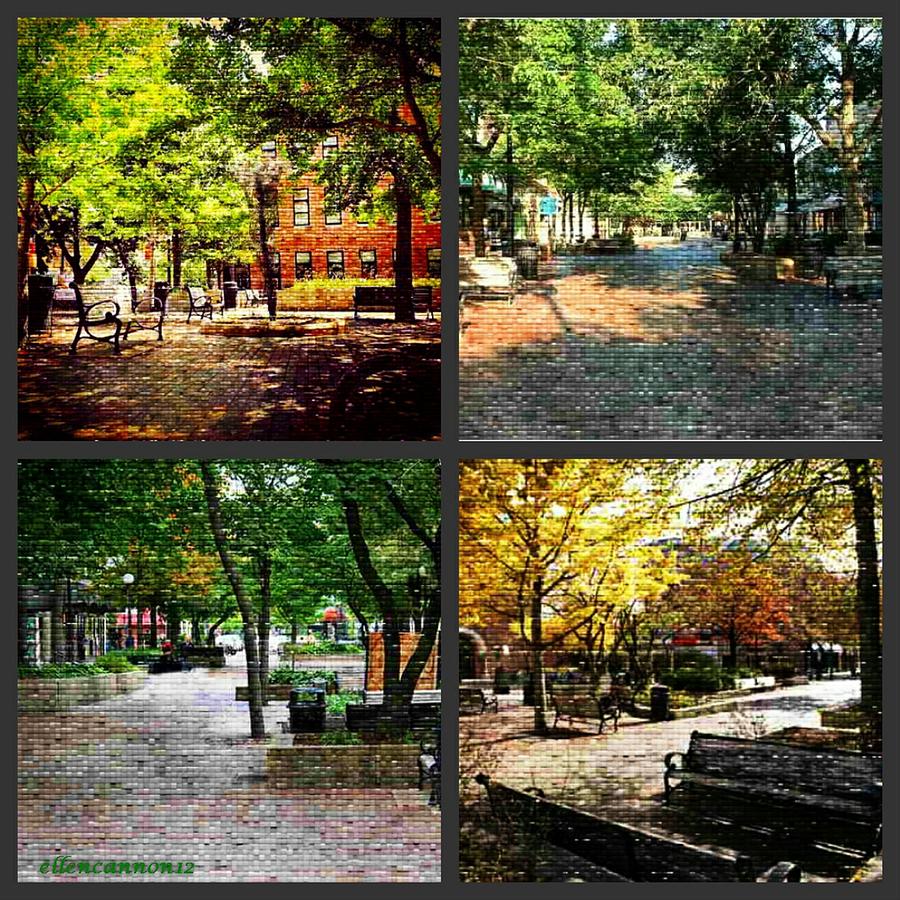 Collage Ped Mall Iowa City Photograph by Ellen Cannon
