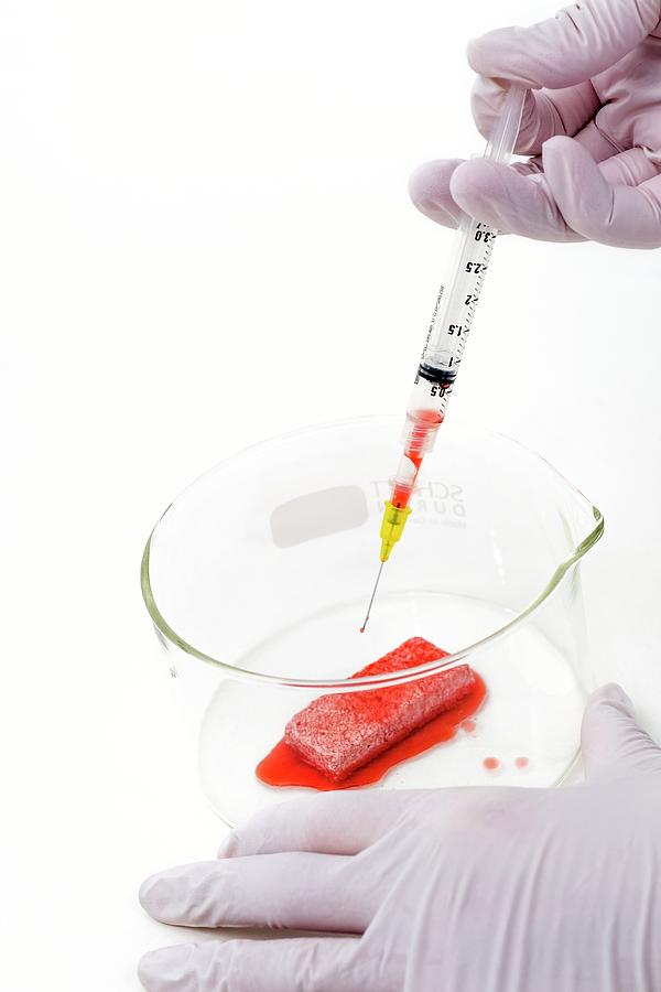 Collagen Sponge Photograph by Lewis Houghton/science Photo Library