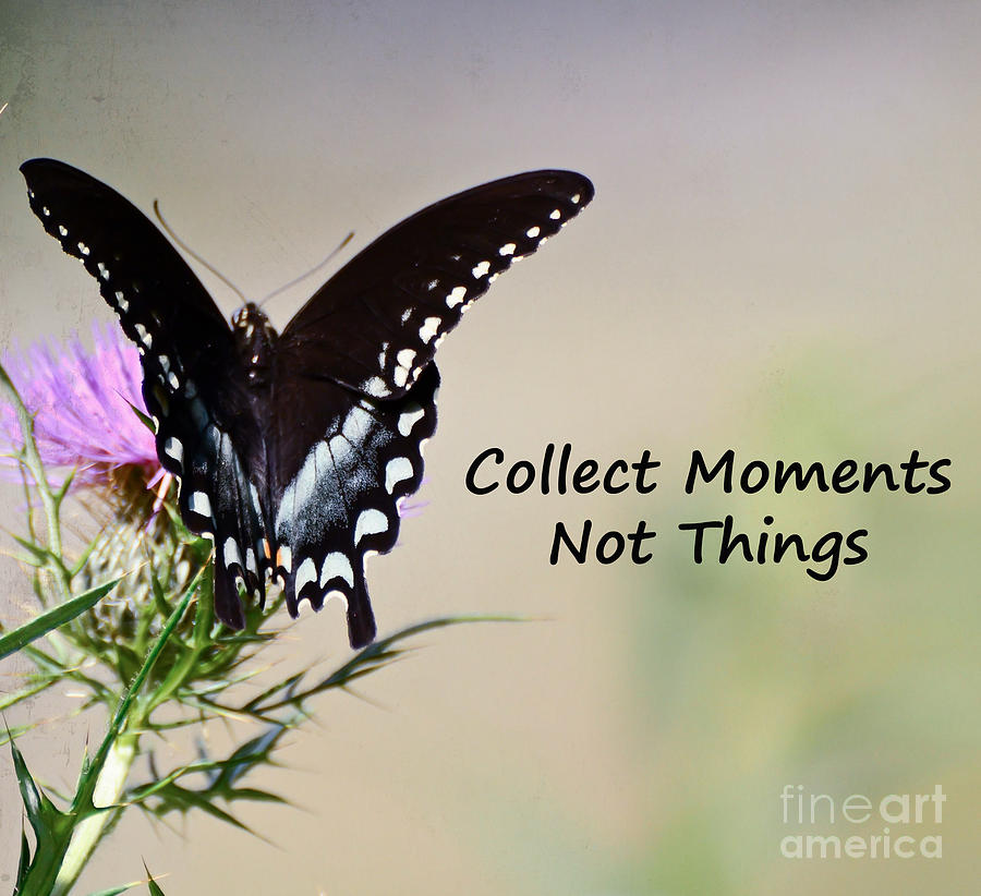 Collect Moments Photograph by Kerri Farley