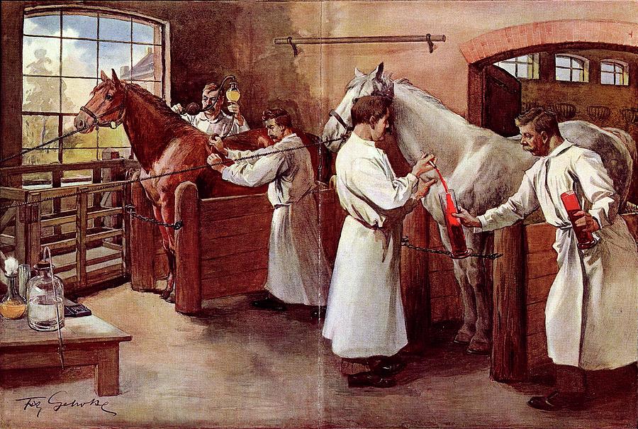 Collecting Horse Blood Photograph by National Library Of Medicine - Pixels