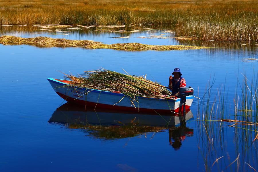 Boat Photograph - Collecting Reeds by FireFlux Studios