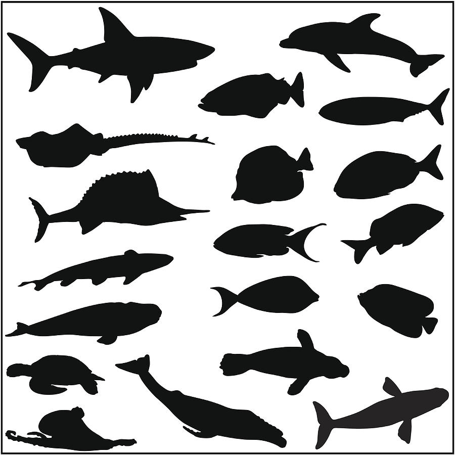 Collection of many fish and sea life silhouettes Drawing by Ace_Create