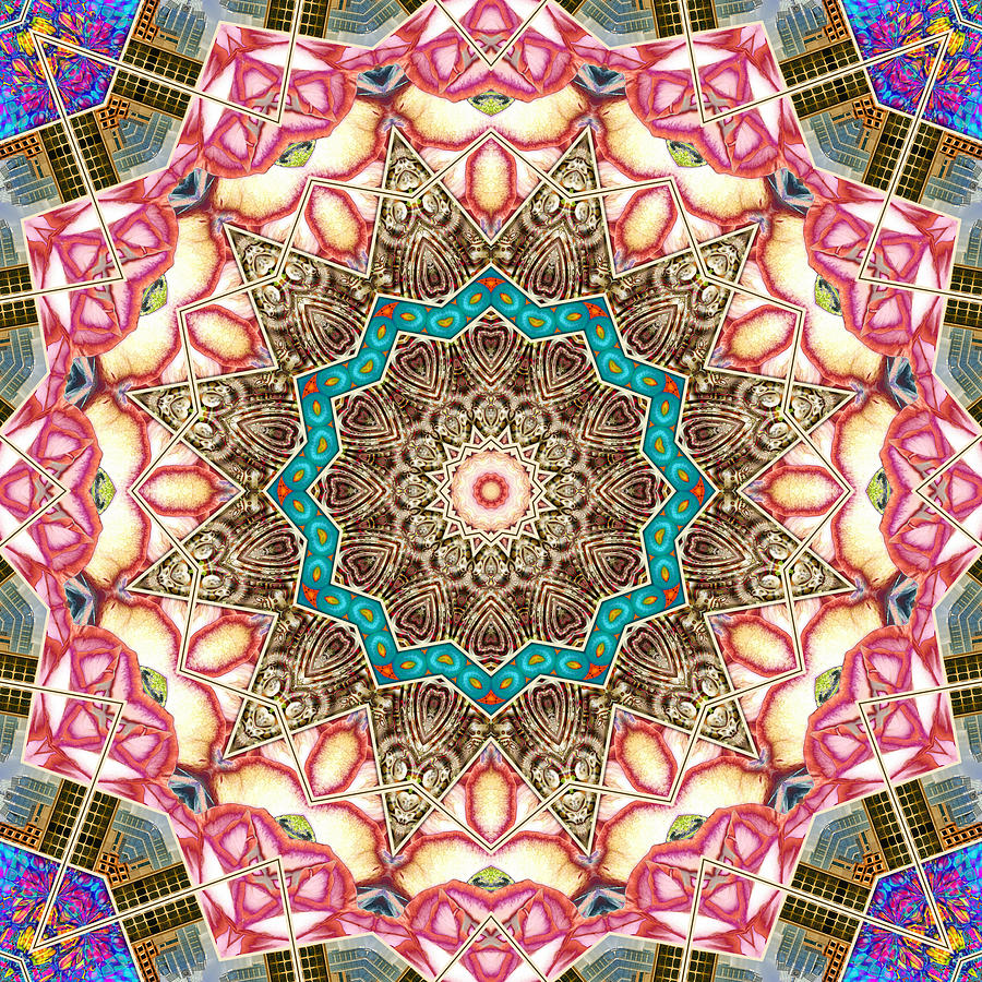 Collective 15 of 26 Digital Art by Wendy J St Christopher