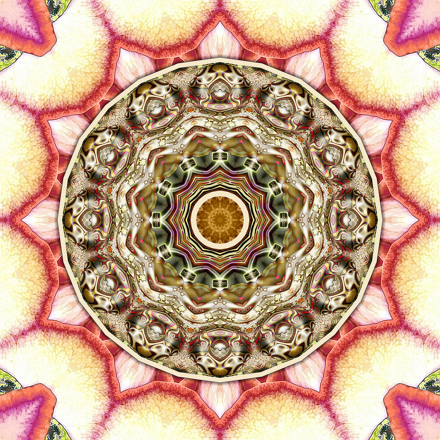 Collective 17 of 26 Digital Art by Wendy J St Christopher