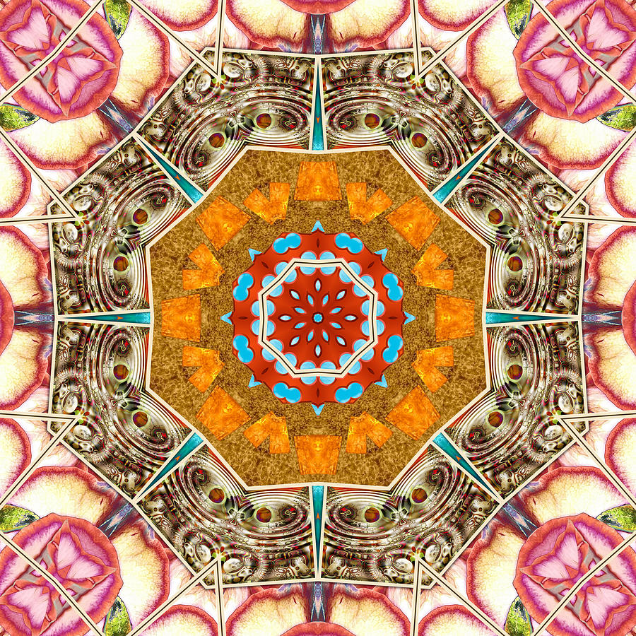 Collective 19 of 26 Digital Art by Wendy J St Christopher