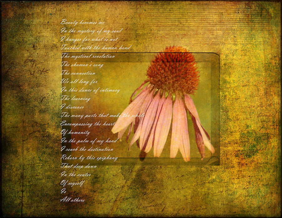 Collective Poem with Echinacea Flower by P S