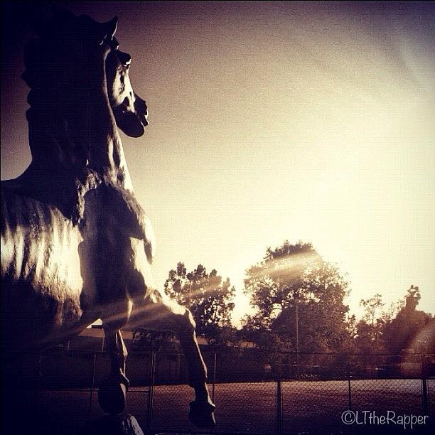 Horse Photograph - ...college Life (7) #iphoneography by Tyrone Stokes