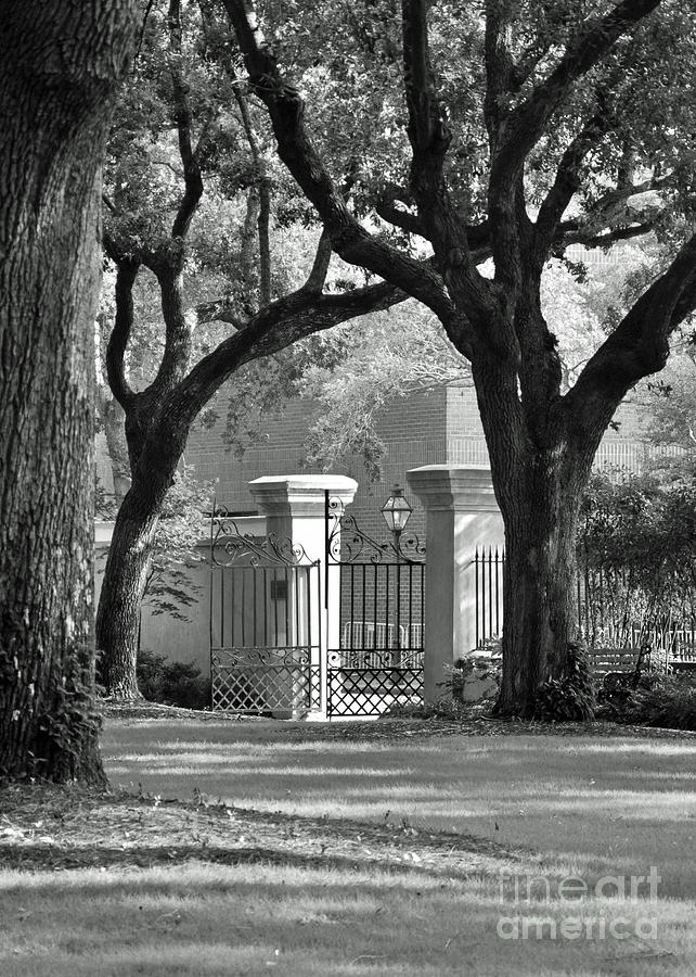 Black And White Photograph - College of Charleston Gate by Susan Cliett