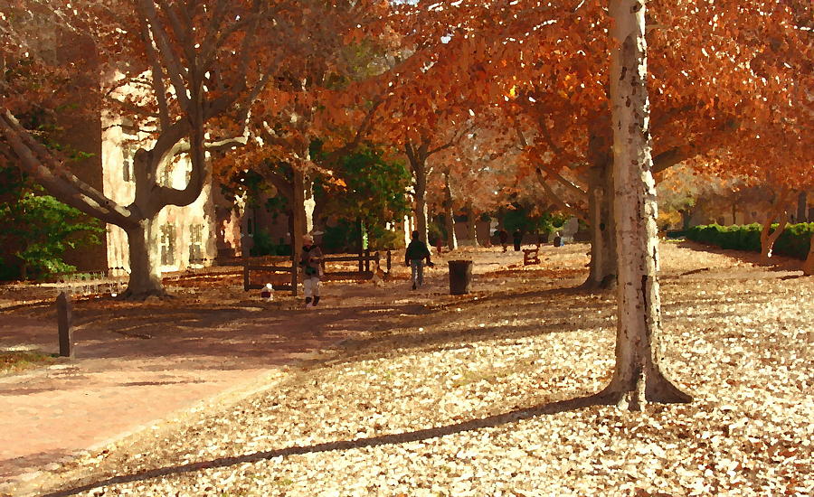 College of William and  Mary abstract Photograph by Jacqueline M Lewis