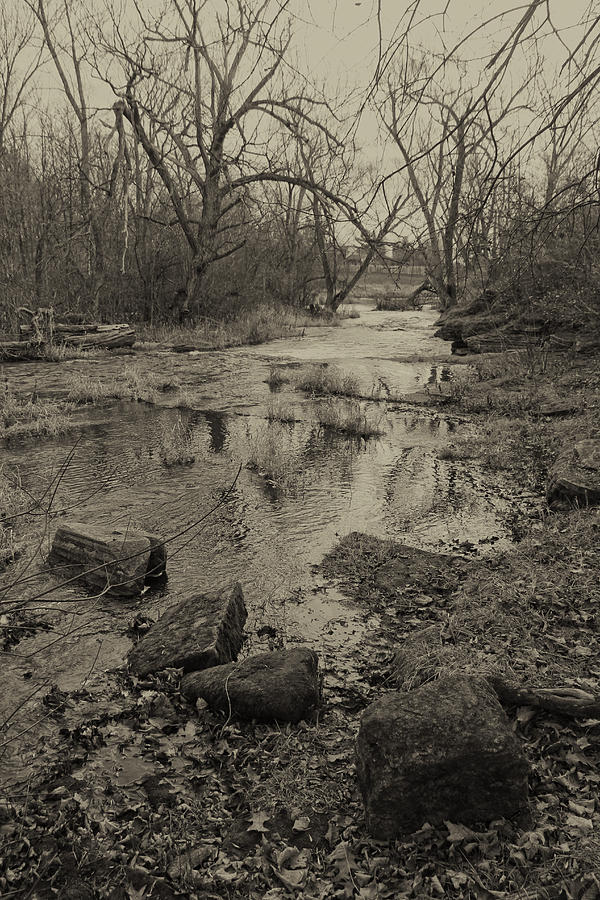 Collins Creek Landscape III Photograph by Jim Vance