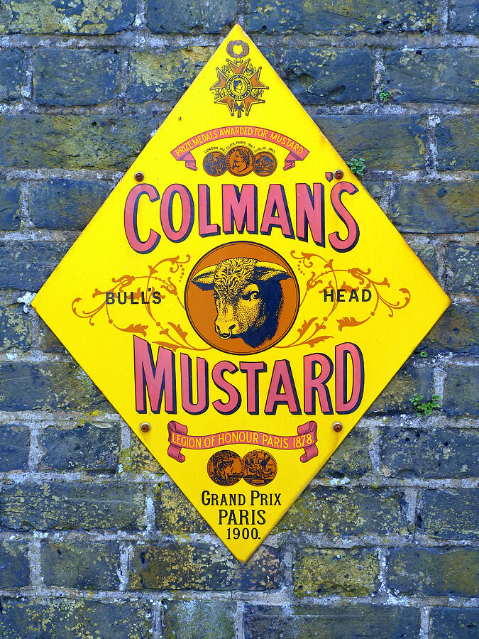 Colmans Mustard Bulls Head Sign Photograph by Gordon James