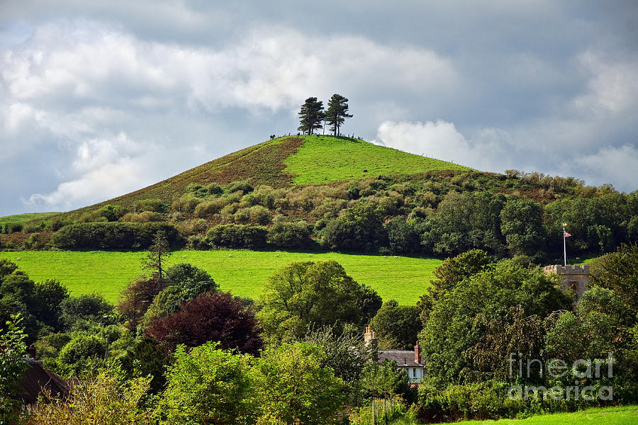 Colmers Hill At Symondsbury Photograph By Susie Peek