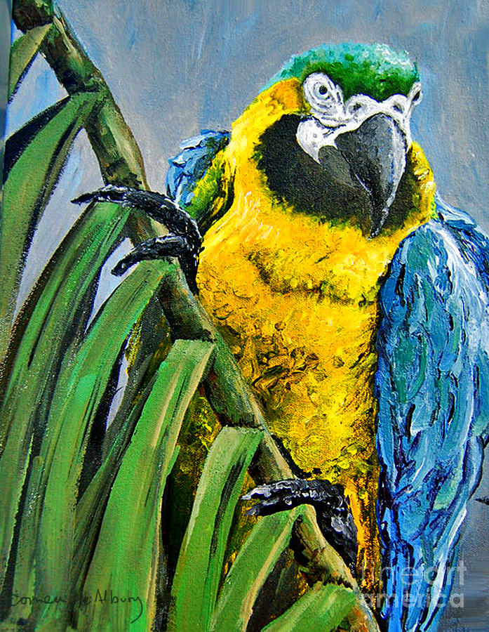 Macaw Painting - Colombian Amazon Macaw by Correa De Albury