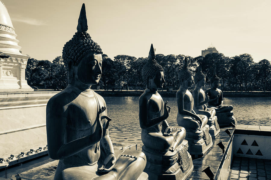 Colombo Buddhas Photograph by @ Didier Marti
