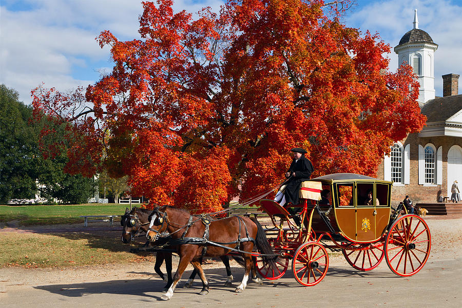 Carriage in Autumn Photograph by Jerry Gammon