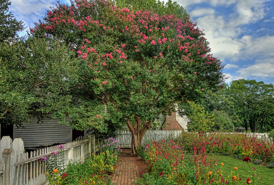 Colonial garden in Williamsburg Photograph by Jerry Gammon