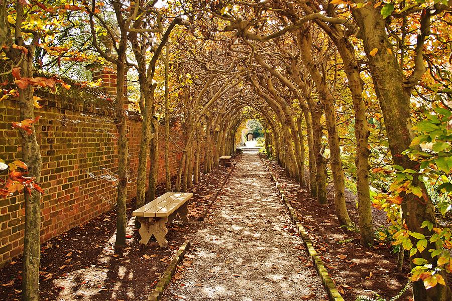 Colonial Williamsburg Governors Palace Grounds Photograph by Marisa Geraghty Photography